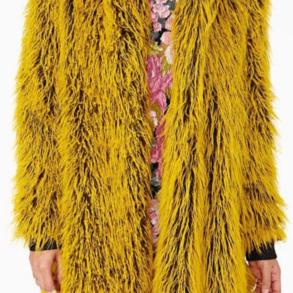 ISO Nasty Gal/Bitching and Junkfood Nicolette Coat